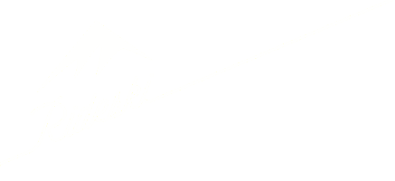 Rideski Carpool logo